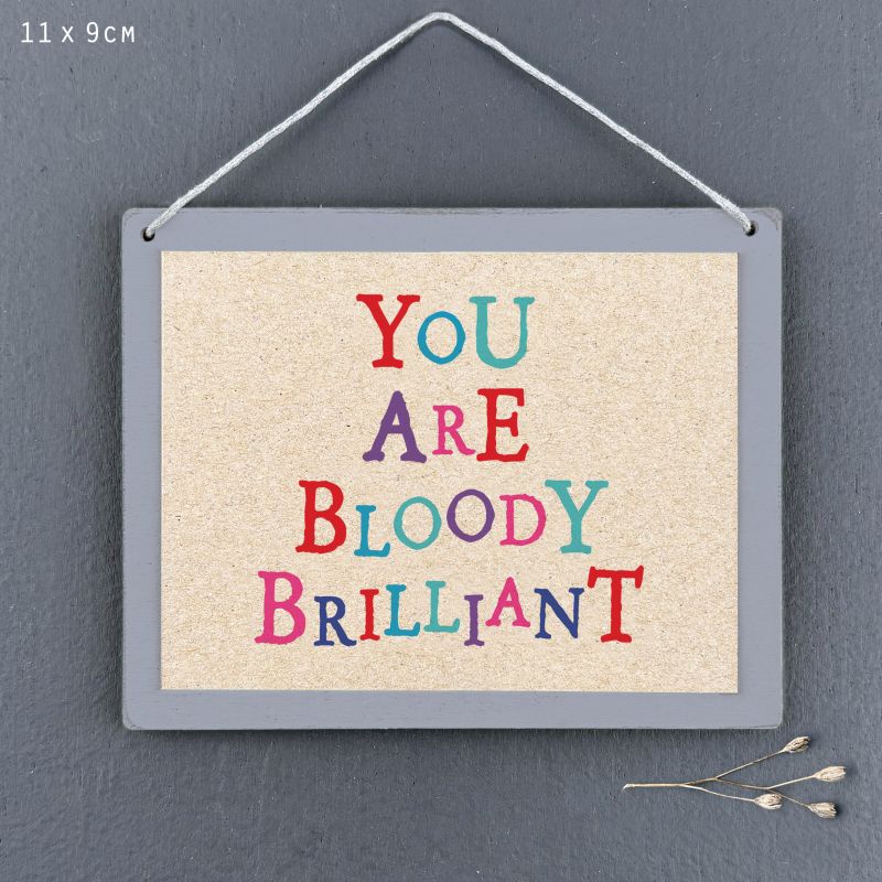 Κάδρο-You are bloody brilliant 9x11,5εκ.