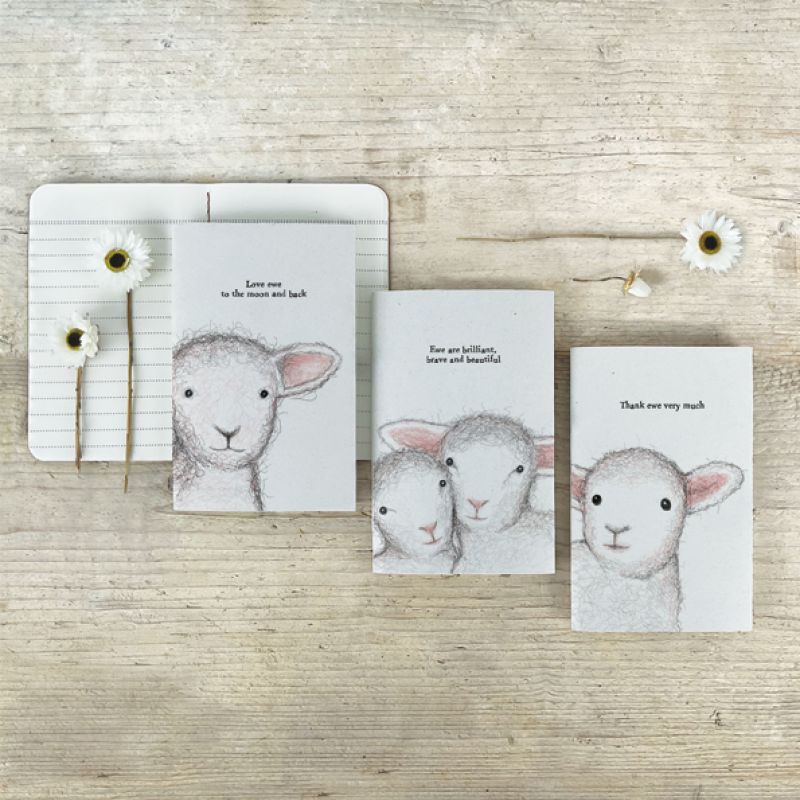 Small sheep book-Ewe are brilliant, brave