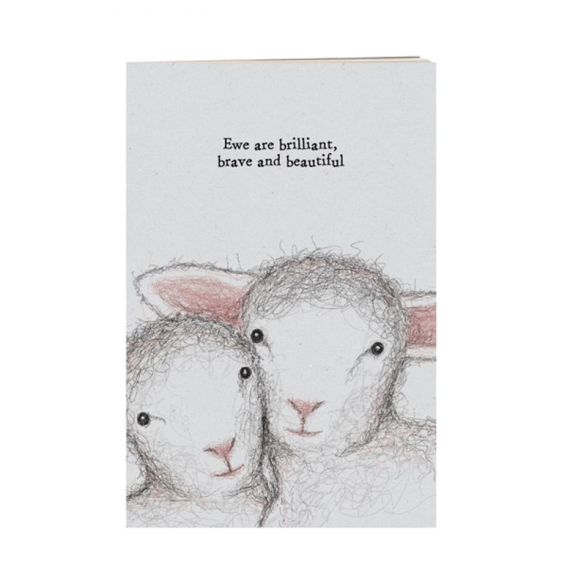 Small sheep book-Ewe are brilliant, brave