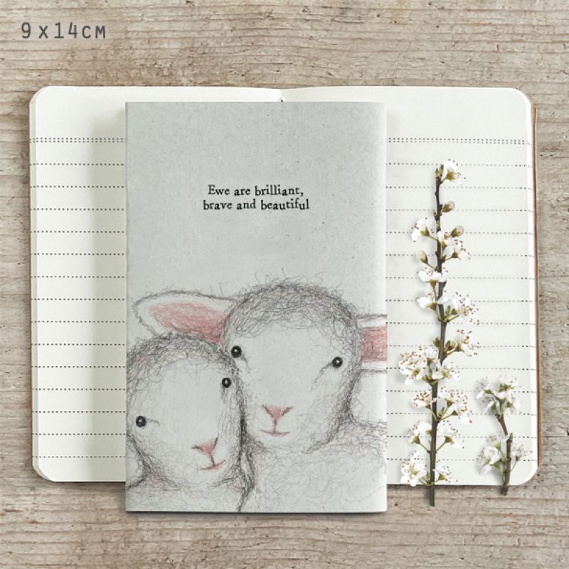 Small sheep book-Ewe are brilliant, brave