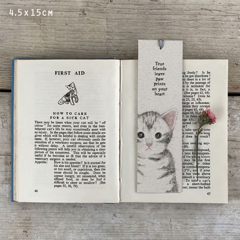 Cat bookmark-True friends