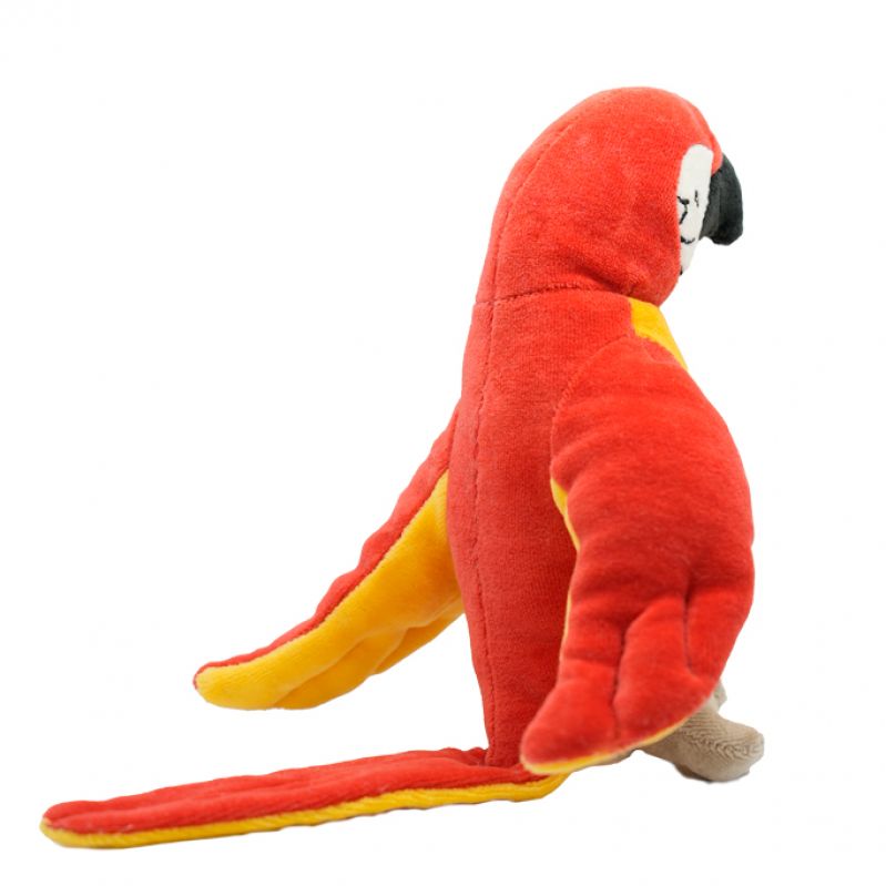 Rooster the Red Parrot