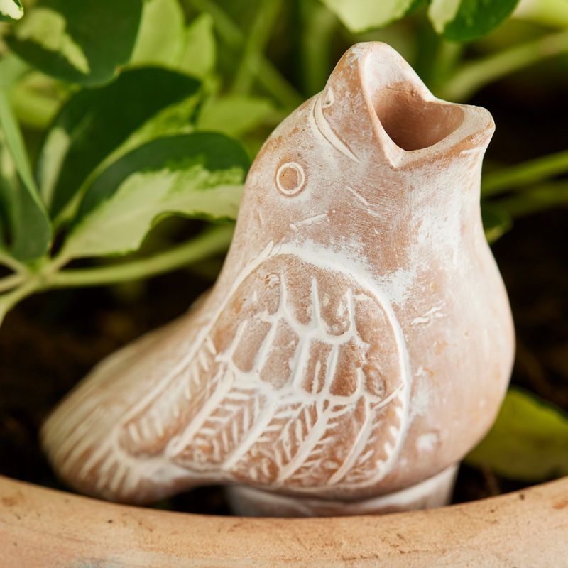 Terracotta Bird Plant Watering Spike