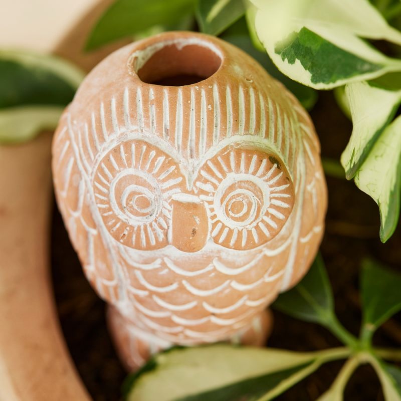 Terracotta Owl Plant Watering Spike