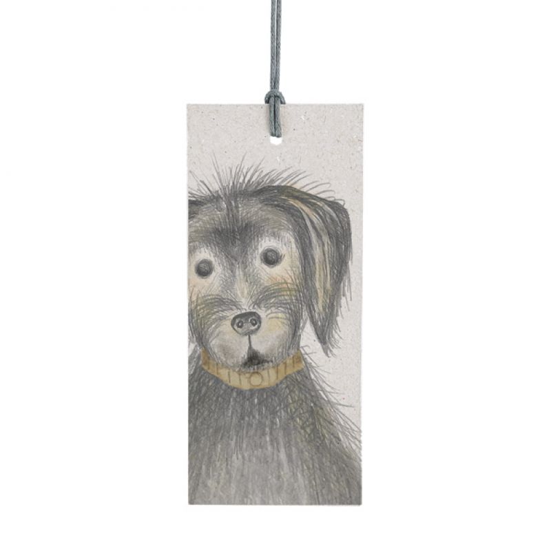 Dog tag-Ted