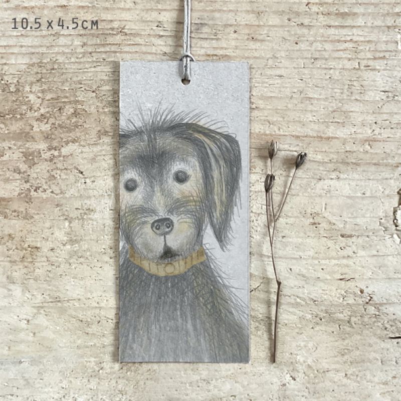 Dog tag-Ted