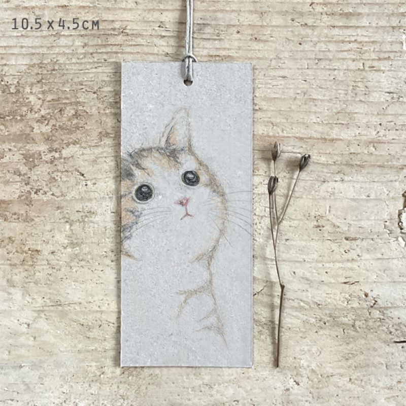 Cat tag-Poppy