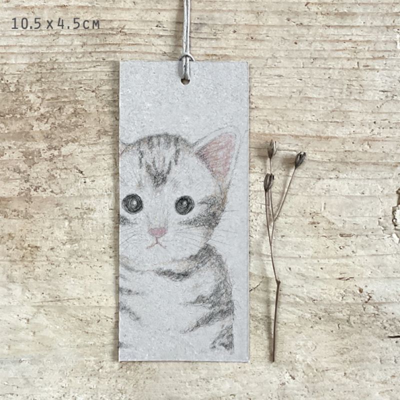 Cat tag-Bella