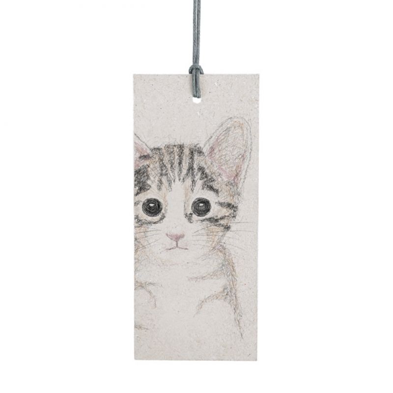 Cat tag-Lotty