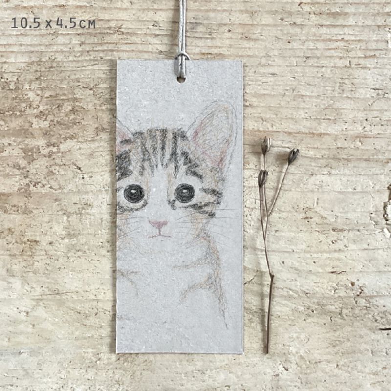 Cat tag-Lotty